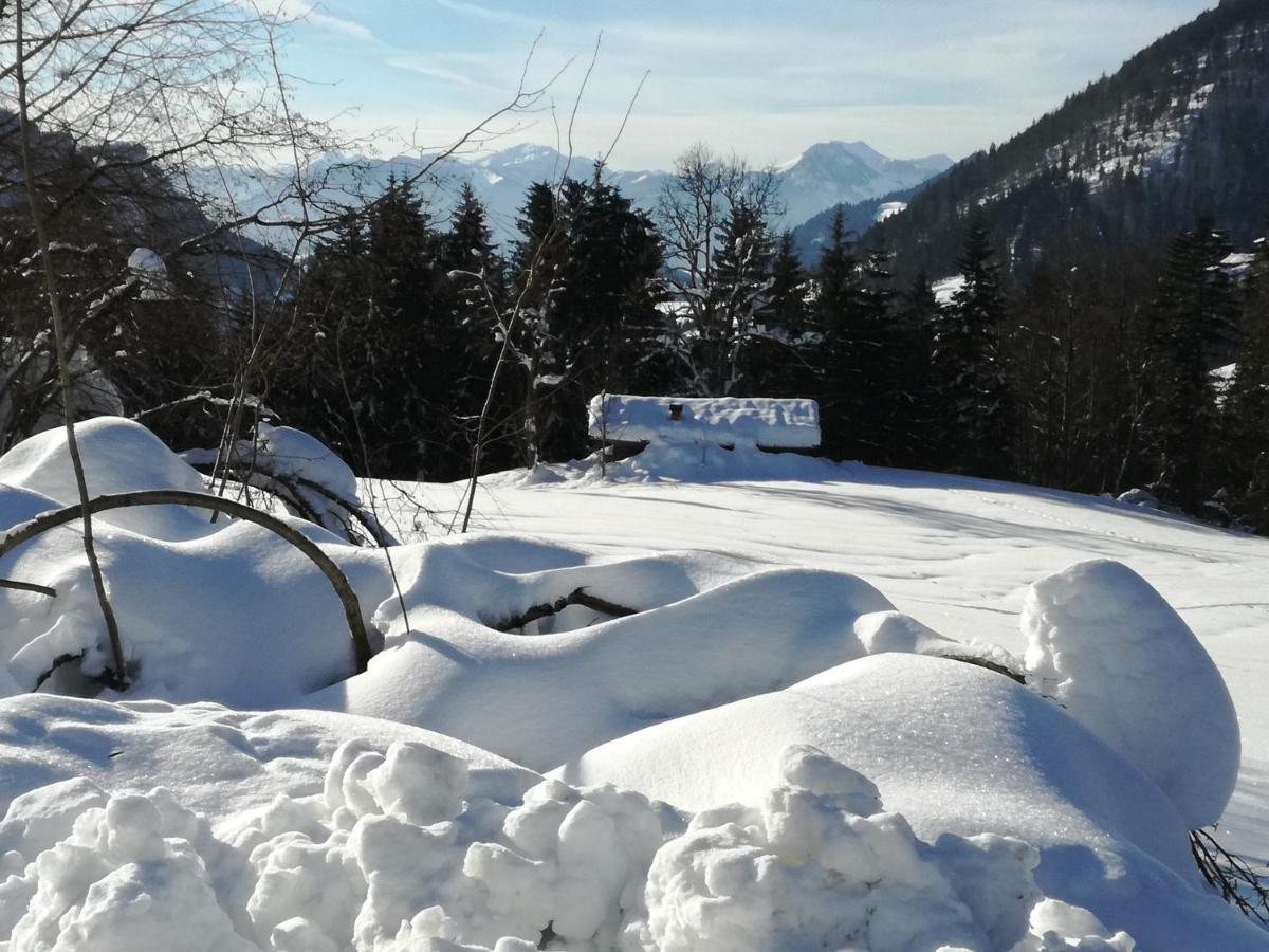 Karrerhof Lejlighed Walchsee Eksteriør billede